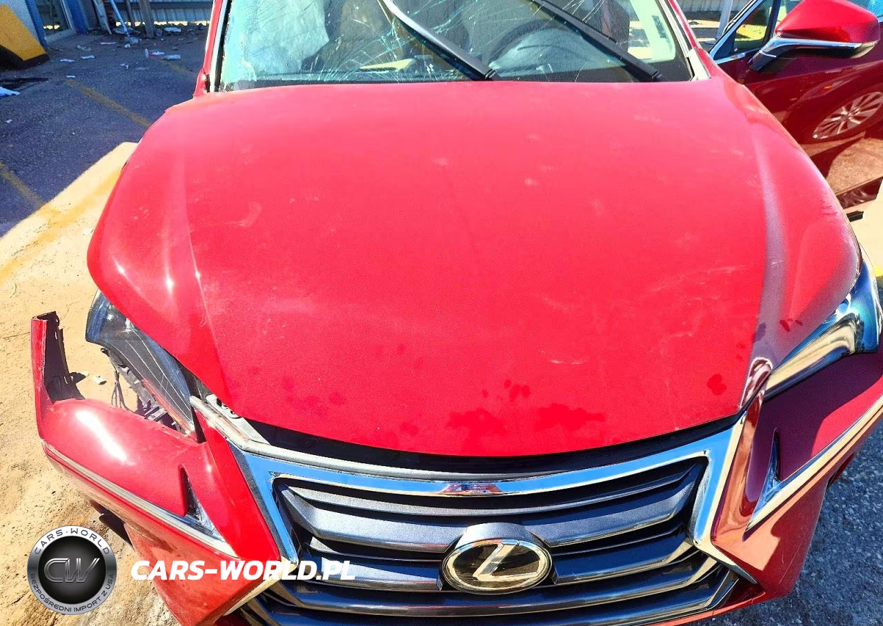 2016 Lexus Nx 200T Base VIN:JTJBARBZ5G2055447 - 11