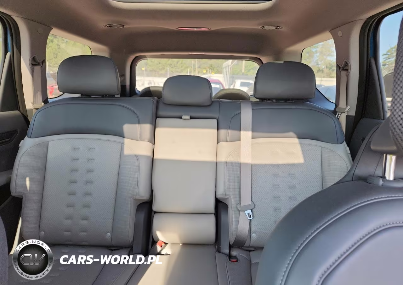 2024 Kia Ev9 Wind VIN:KNDAFFS56R6035618 - 10