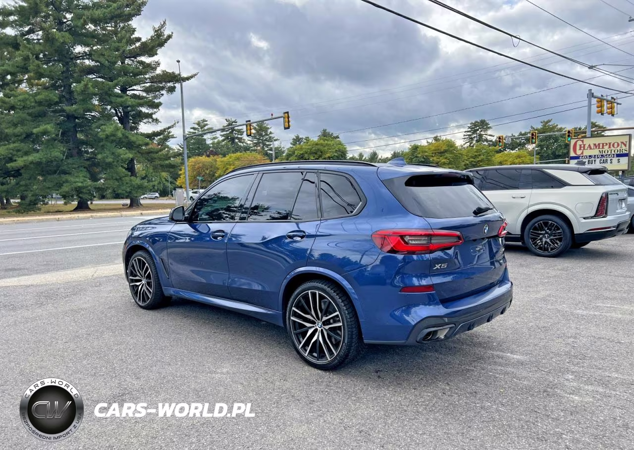 2019 BMW X5 xDrive40I VIN:5UXCR6C51KLK79486 - 3