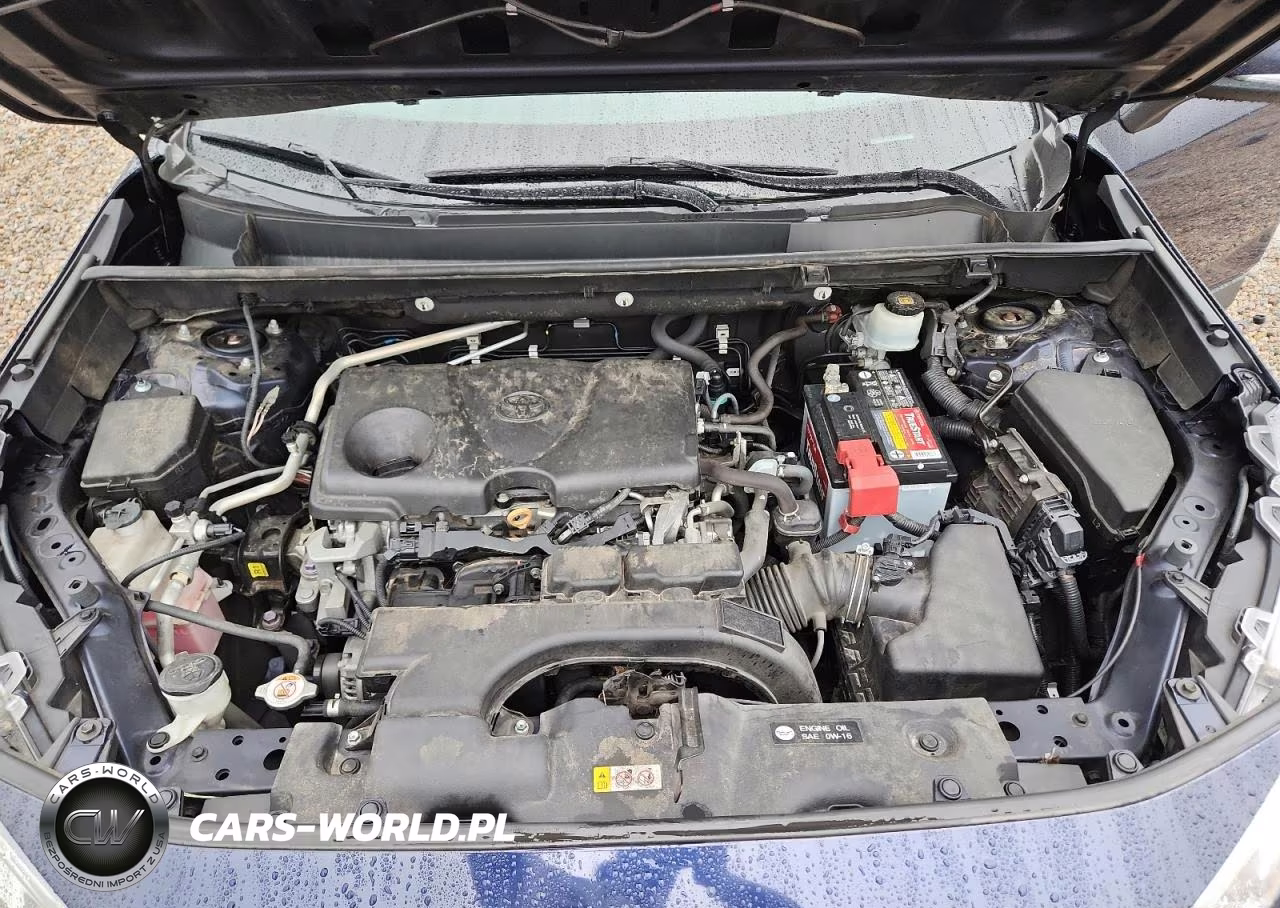2019 Toyota Rav4 Xle Premium VIN:2T3A1RFV7KW049154 - 12