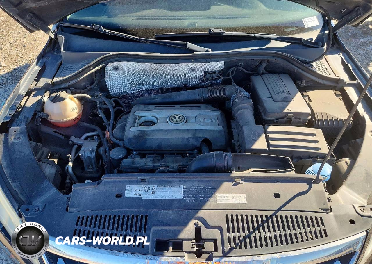 2011 Volkswagen Tiguan S VIN:WVGAV7AX0BW555892 - 11