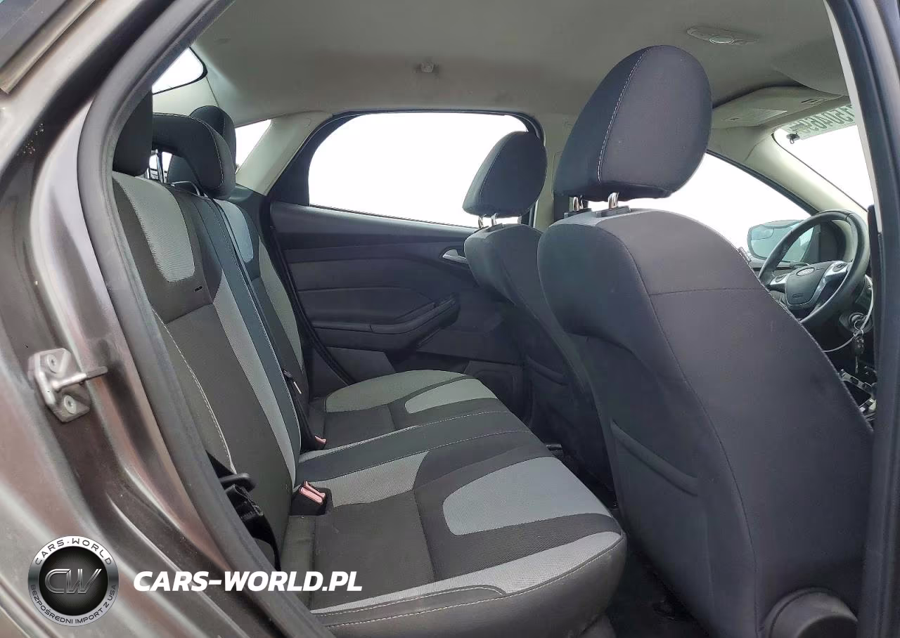 2014 Ford Focus Se VIN:1FADP3F29EL341464 - 10
