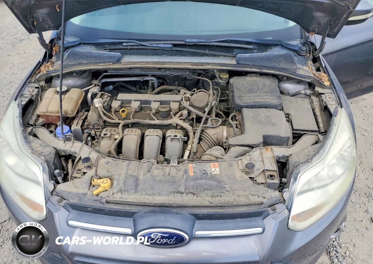 2014 Ford Focus Se VIN:1FADP3F29EL341464 - 11