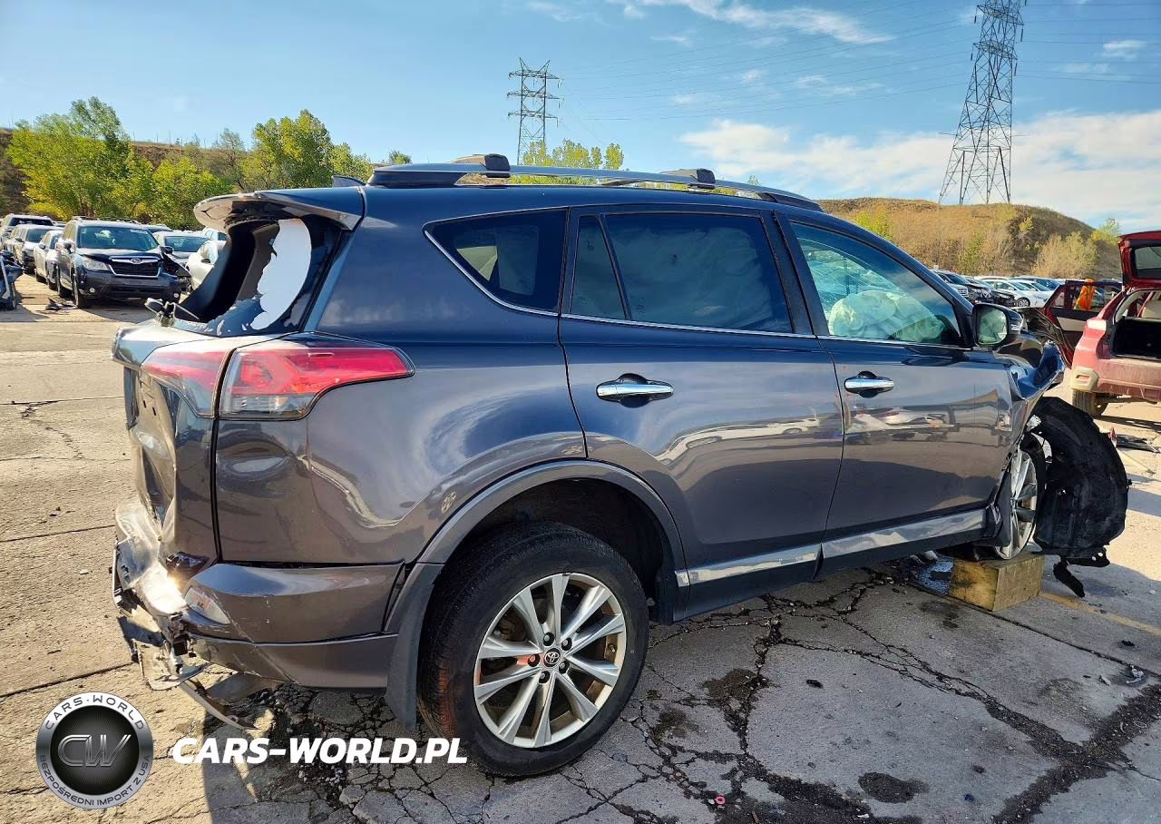 2017 Toyota Rav4 Platinum VIN:2T3DFREV7HW564079 - 3