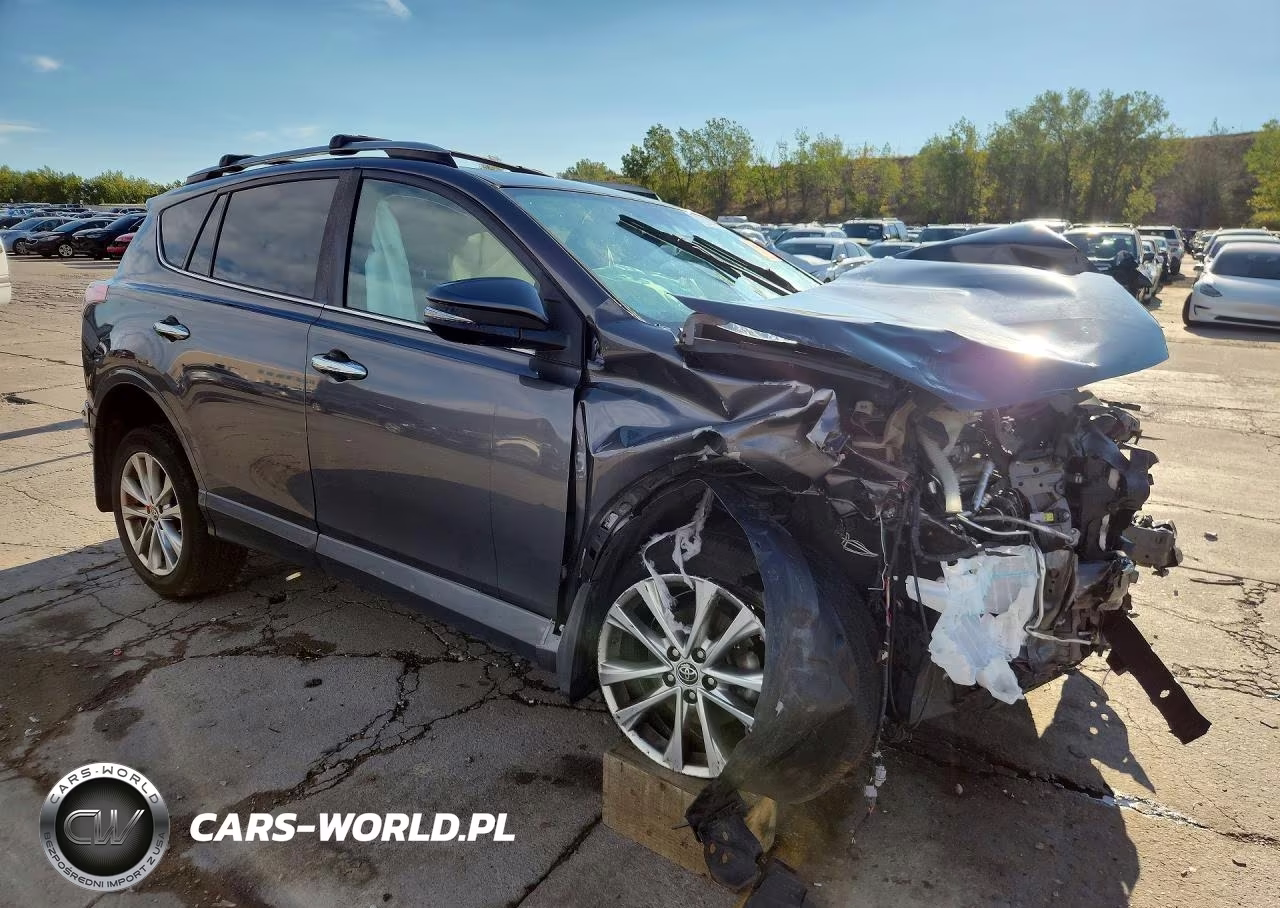 2017 Toyota Rav4 Platinum VIN:2T3DFREV7HW564079 - 4