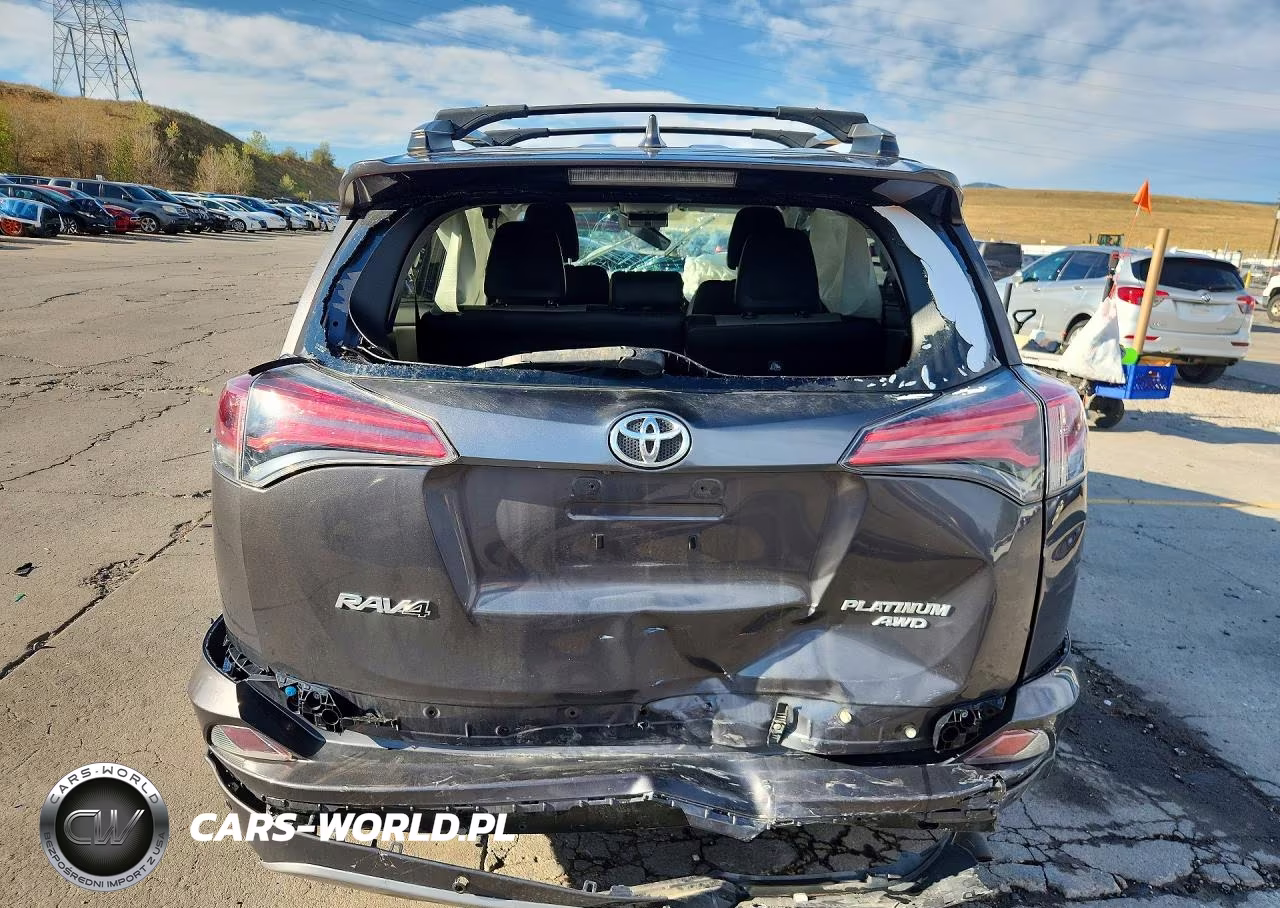 2017 Toyota Rav4 Platinum VIN:2T3DFREV7HW564079 - 6