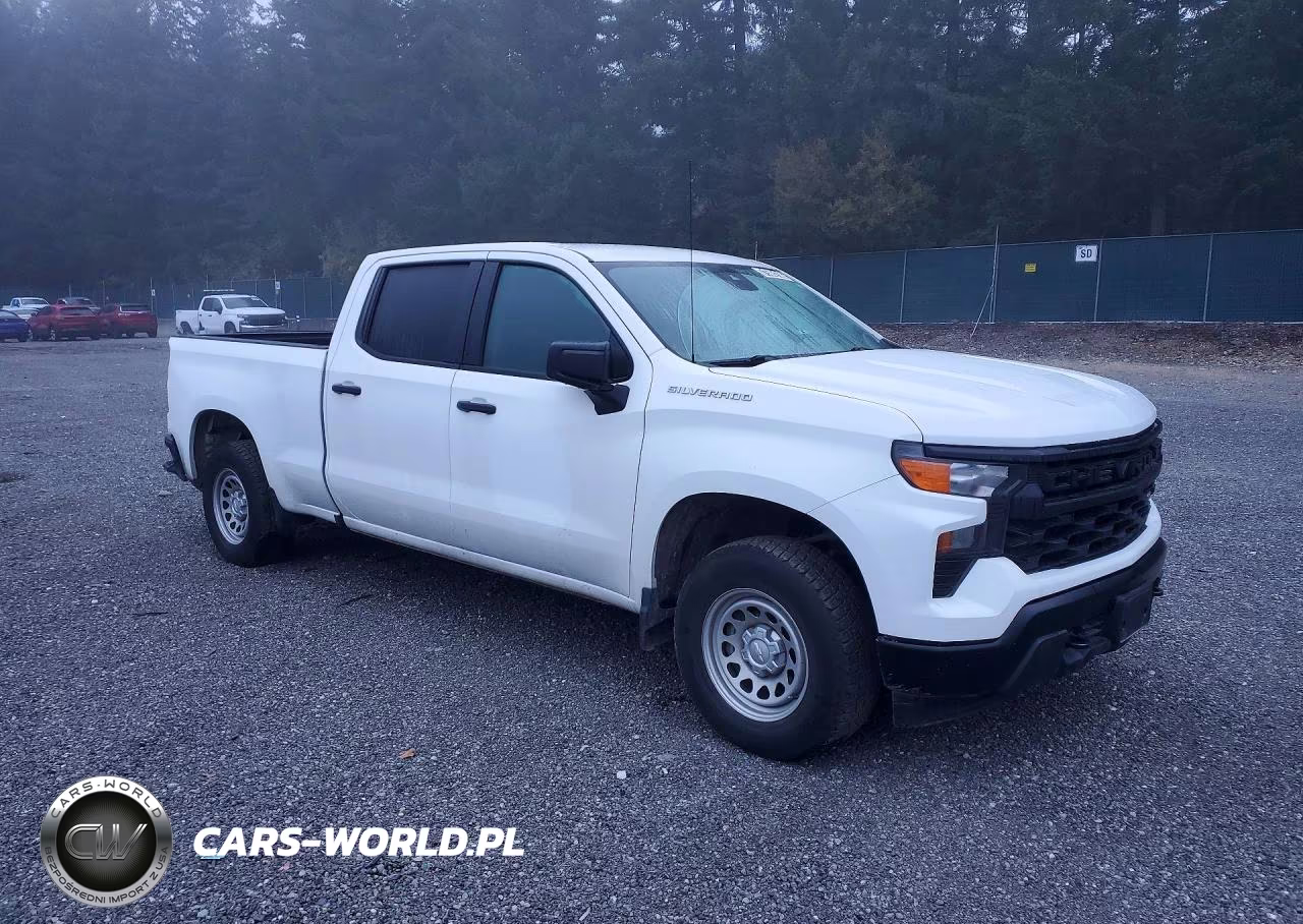 2023 Chevrolet Silverado K1500 VIN:3GCPDAEK7PG111461 - 4