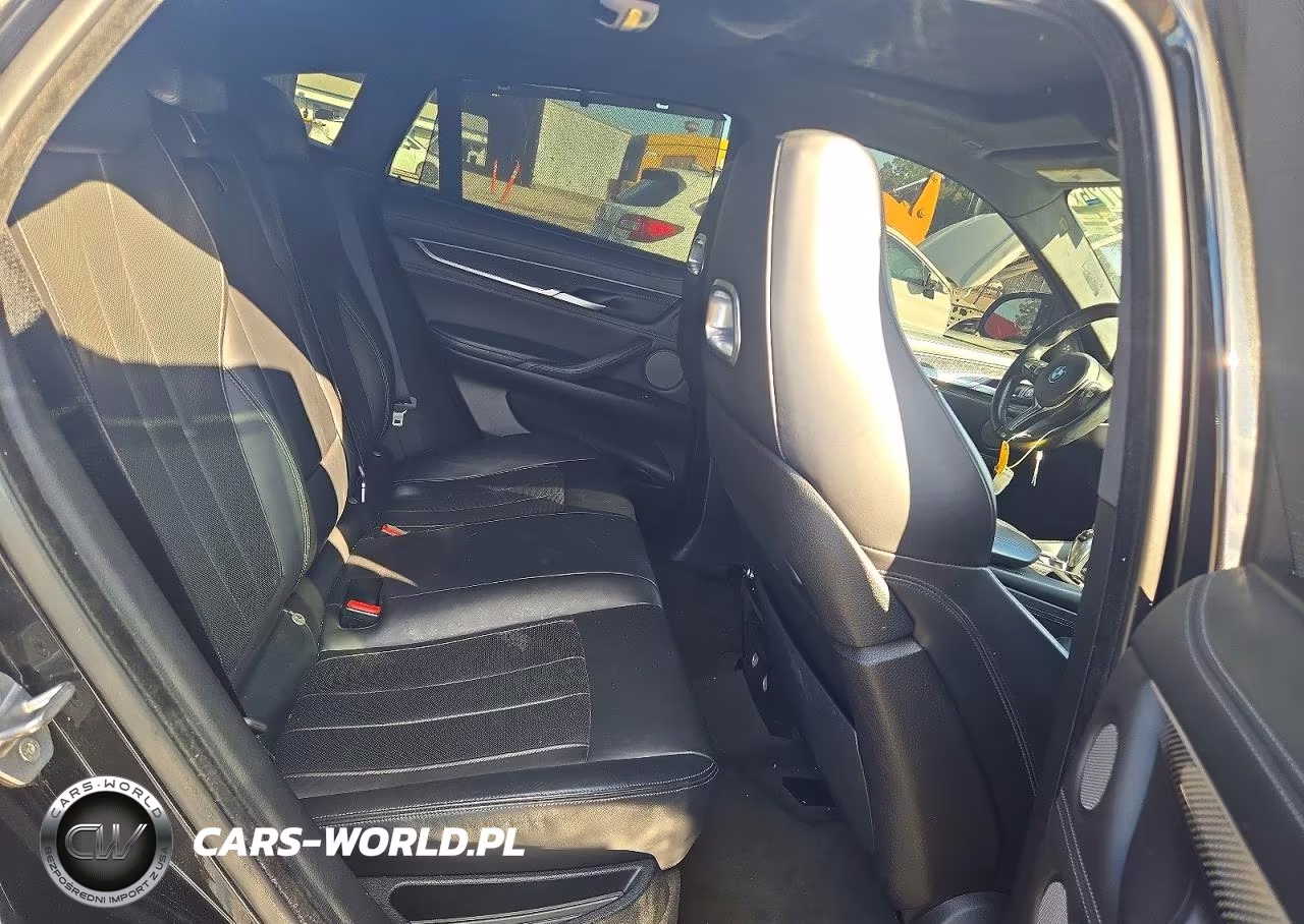 2016 BMW X6 M VIN:5YMKW8C51G0R43299 - 10