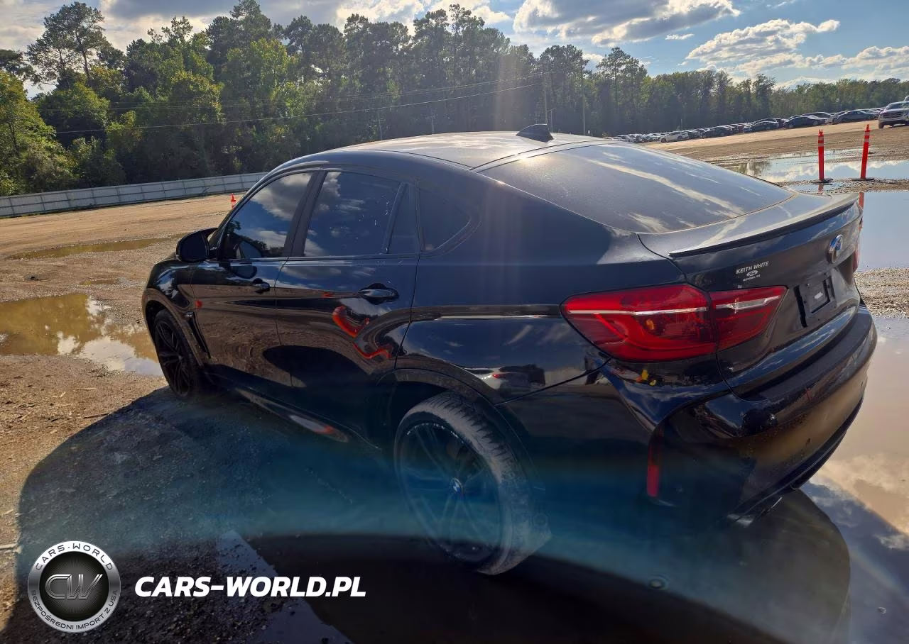 2016 BMW X6 M VIN:5YMKW8C51G0R43299 - 2