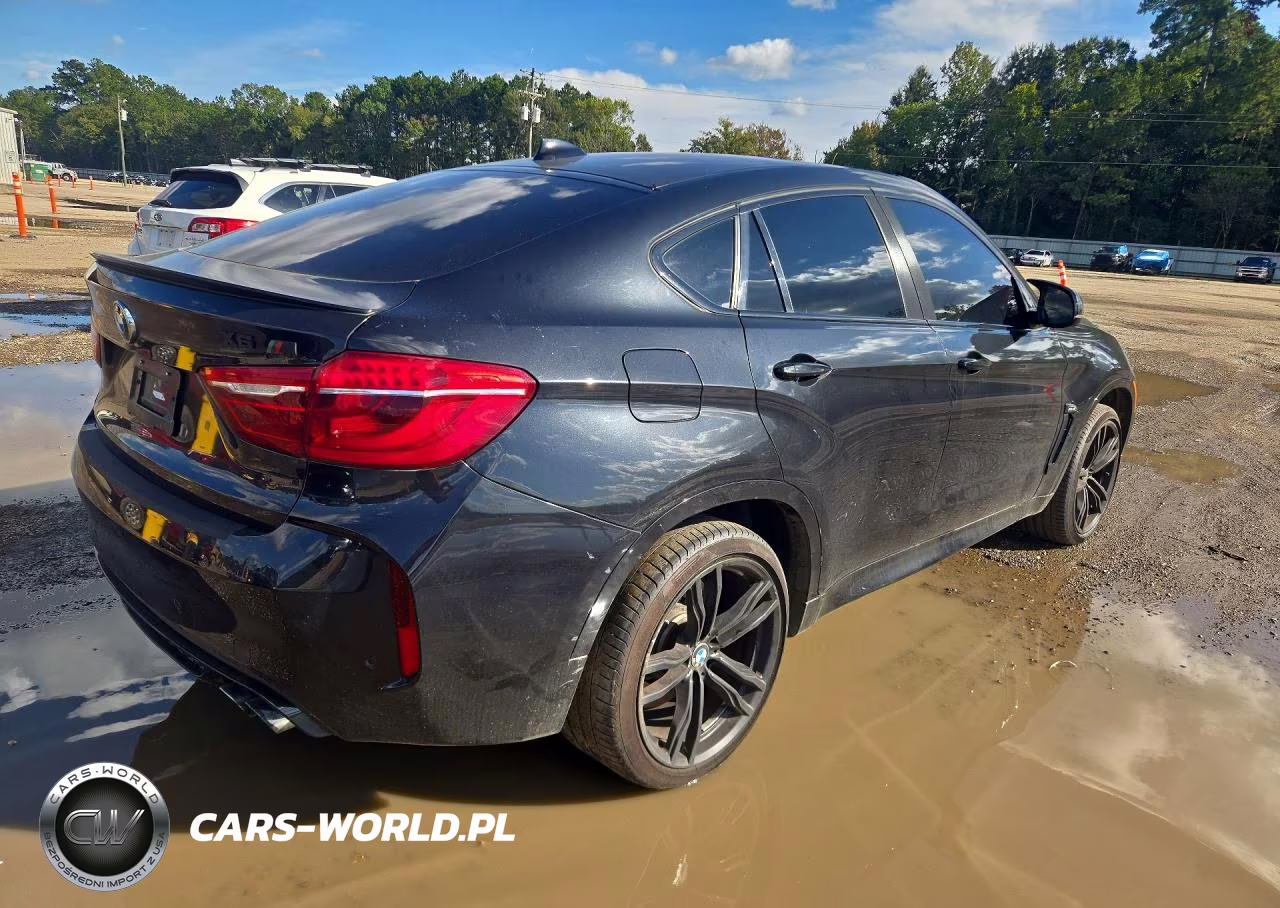 2016 BMW X6 M VIN:5YMKW8C51G0R43299 - 3