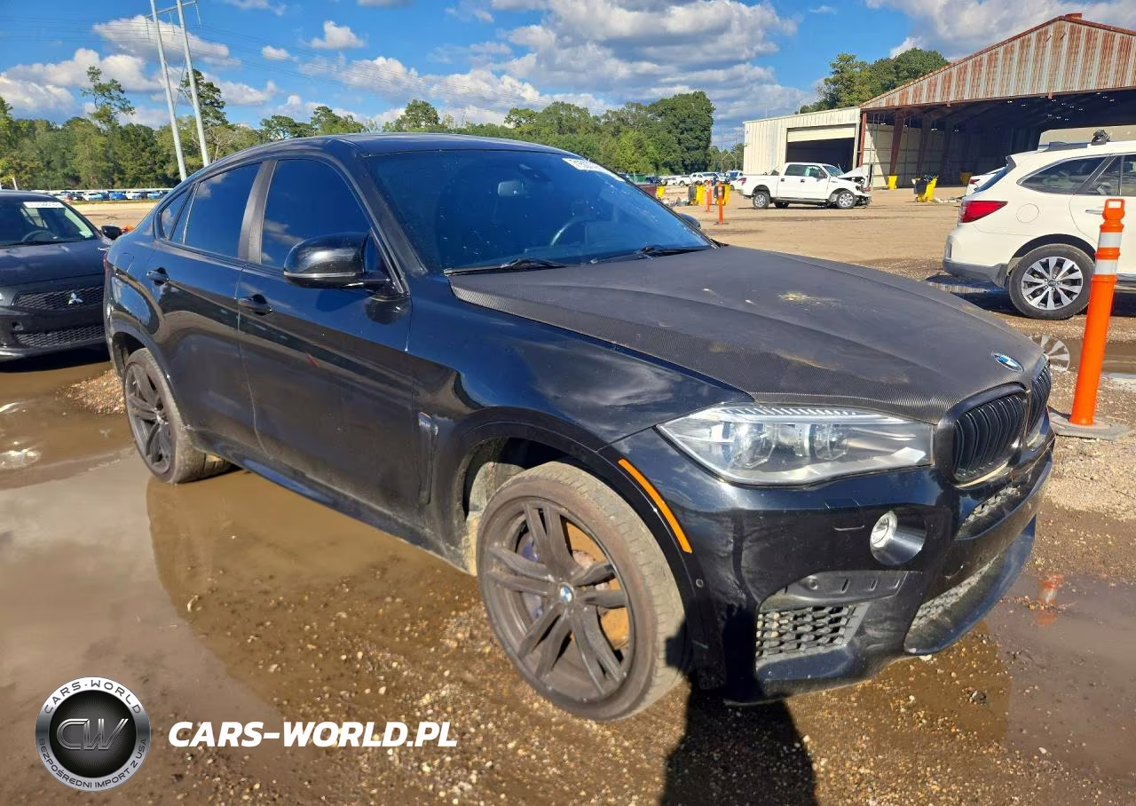 2016 BMW X6 M VIN:5YMKW8C51G0R43299 - 4