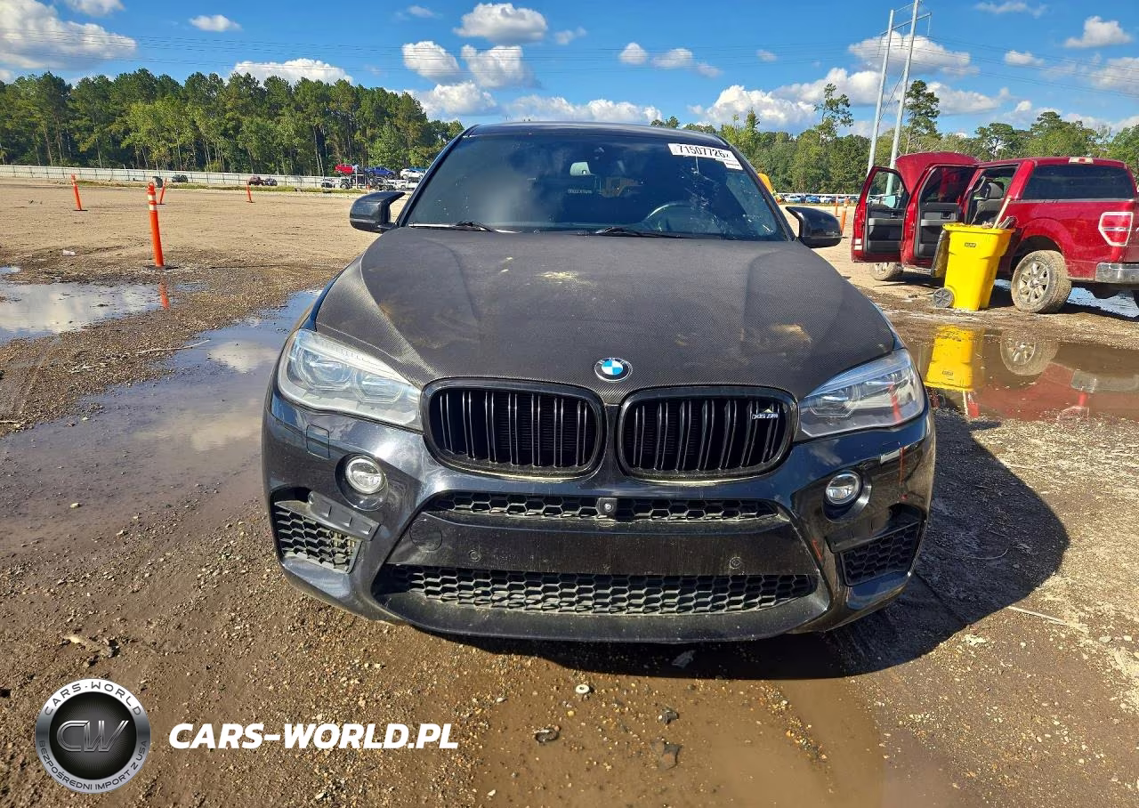 2016 BMW X6 M VIN:5YMKW8C51G0R43299 - 5