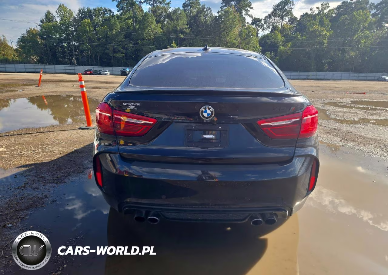 2016 BMW X6 M VIN:5YMKW8C51G0R43299 - 6