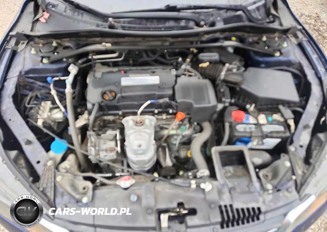 2013 Honda Accord Exl VIN:1HGCR2F80DA158366 - 11
