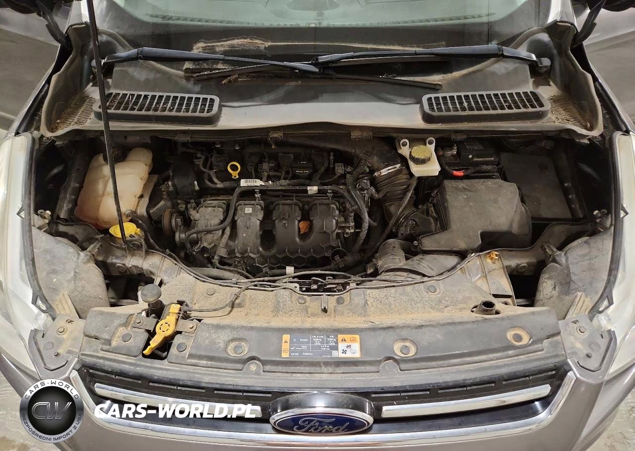 2014 Ford Escape Titanium VIN:1FMCU9J93EUA74835 - 12