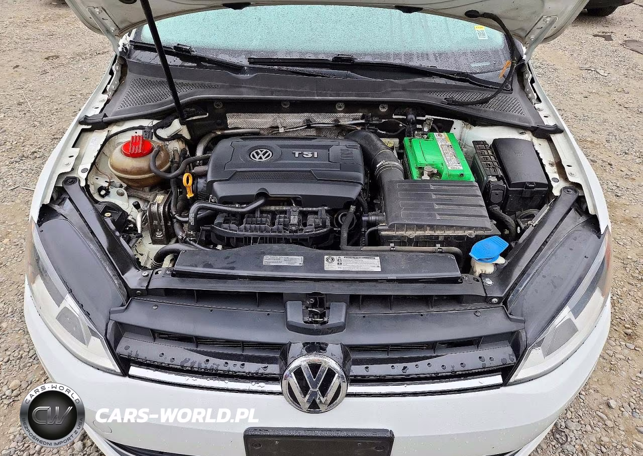 2016 Volkswagen Golf Sportwagen S VIN:3VWC17AU7GM524030 - 11
