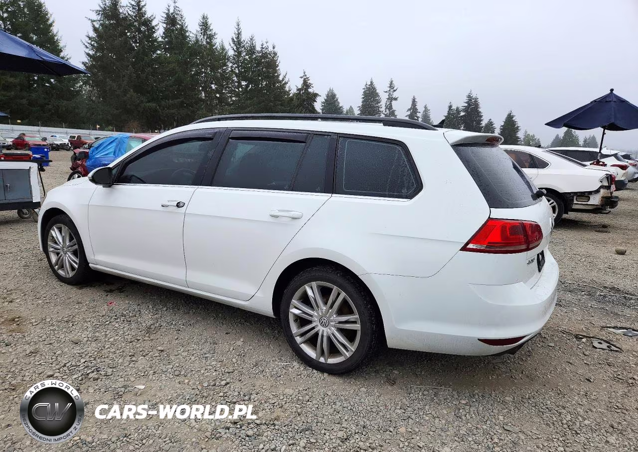 2016 Volkswagen Golf Sportwagen S VIN:3VWC17AU7GM524030 - 2