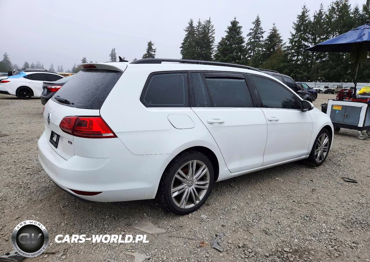 2016 Volkswagen Golf Sportwagen S VIN:3VWC17AU7GM524030 - 3
