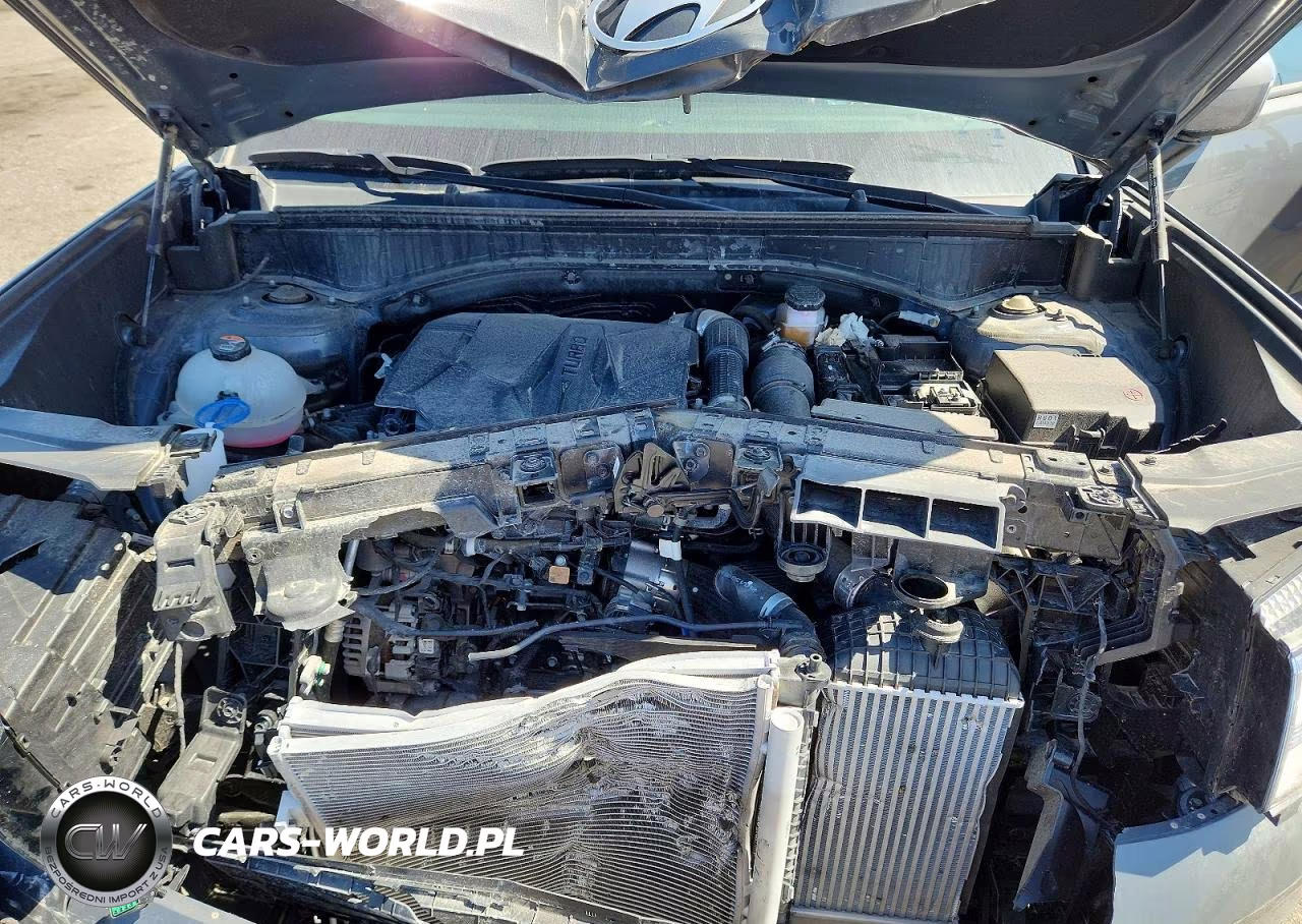 2025 Hyundai Santa Fe Sel VIN:5NMP24GL6SH091469 - 12