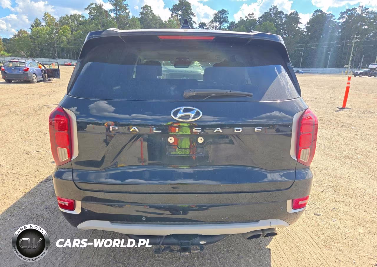 2021 Hyundai Palisade Limited VIN:KM8R54HE1MU223528 - 6