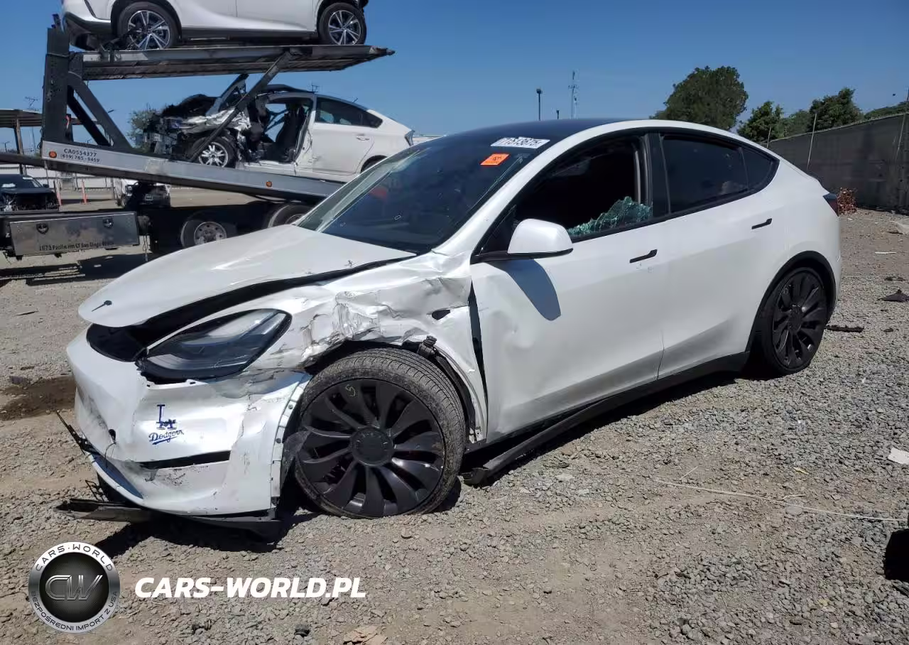 2023 Tesla Model Y