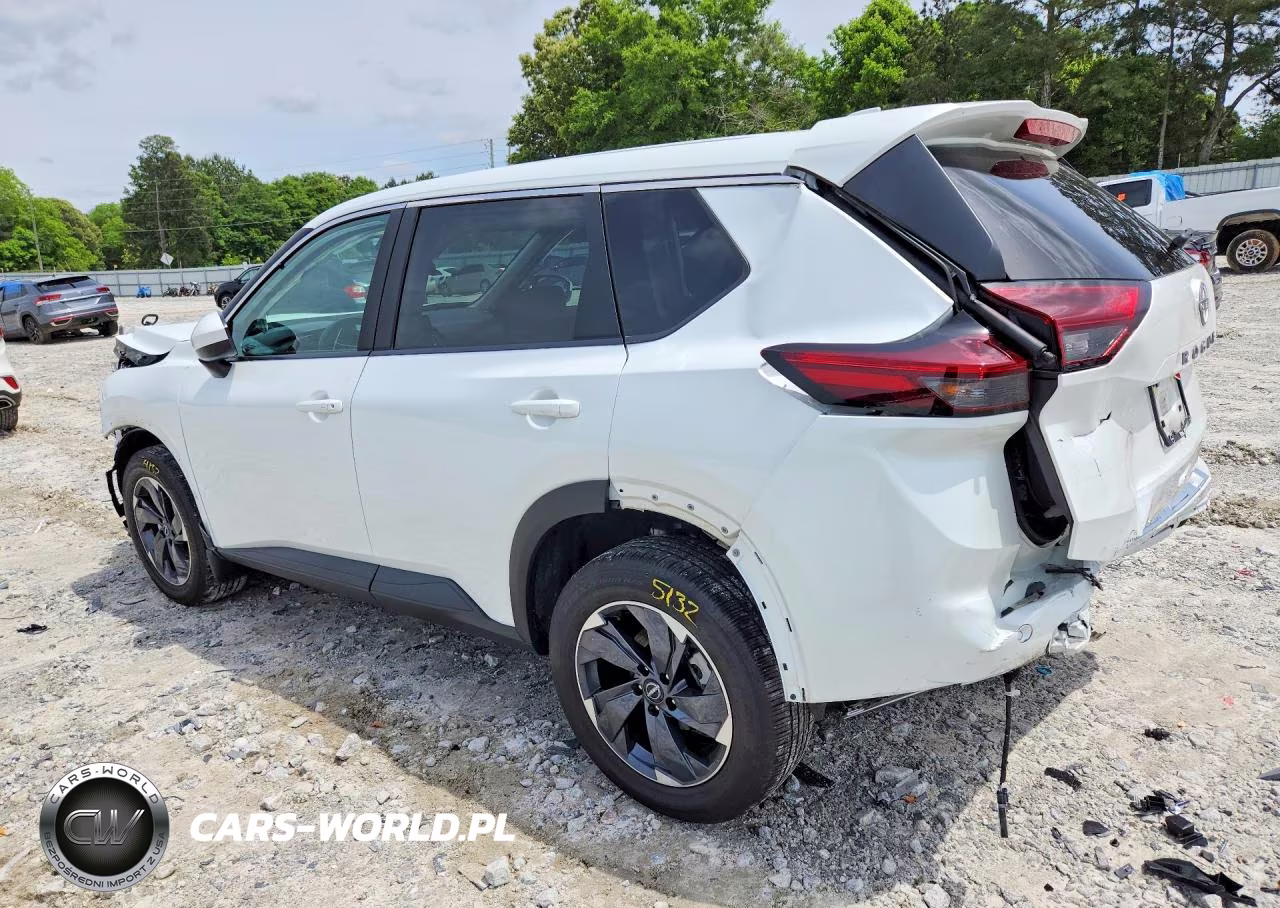 2025 Nissan Rogue Sv VIN:5N1BT3BA0SC843832 - 2