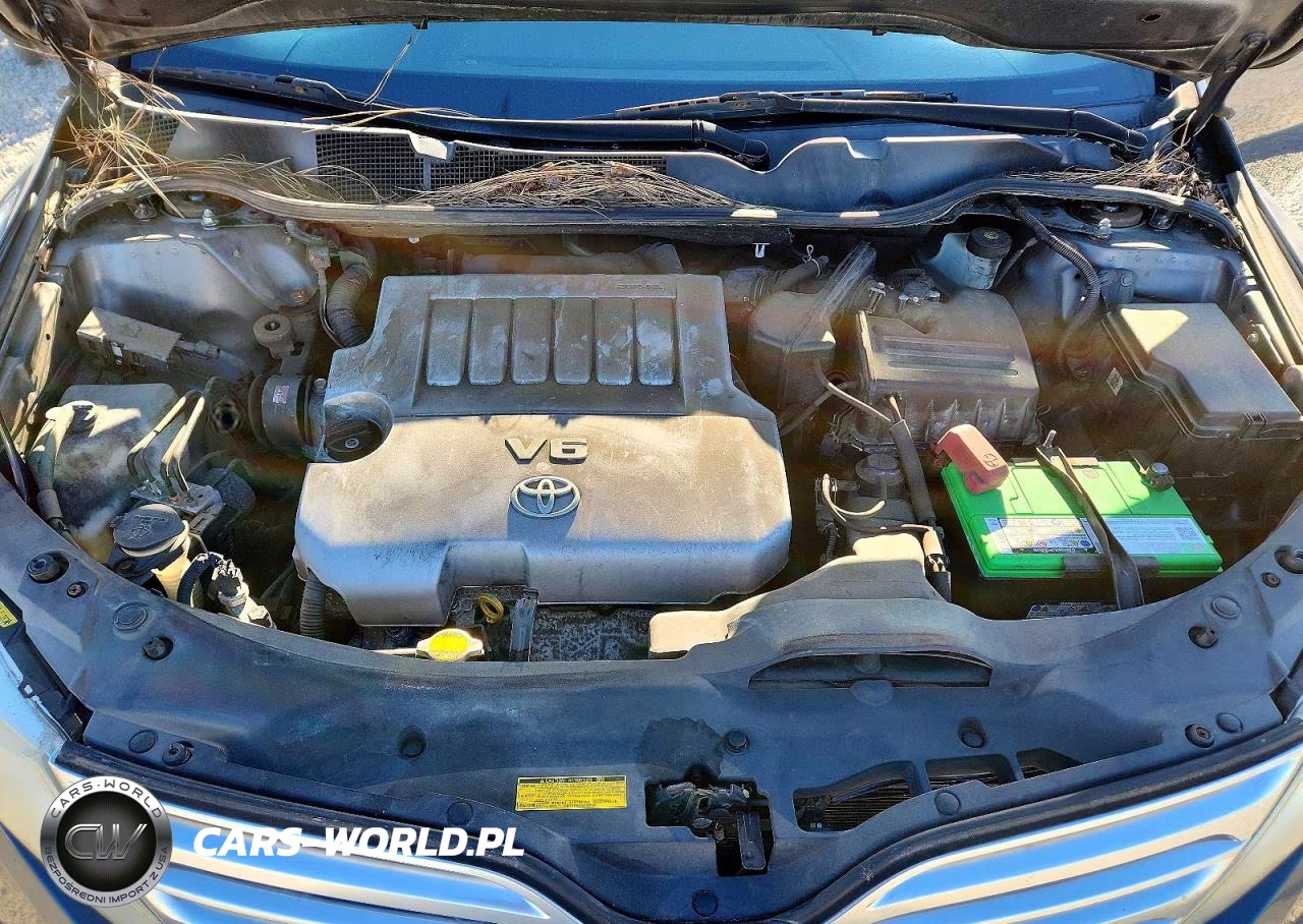 2009 Toyota Venza Fwd V6 VIN:4T3ZK11A79U010581 - 12