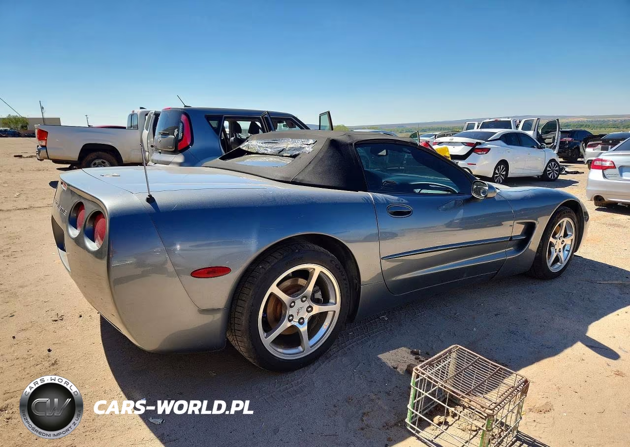 2003 Chevrolet Corvette VIN:1G1YY32GX35113137 - 3