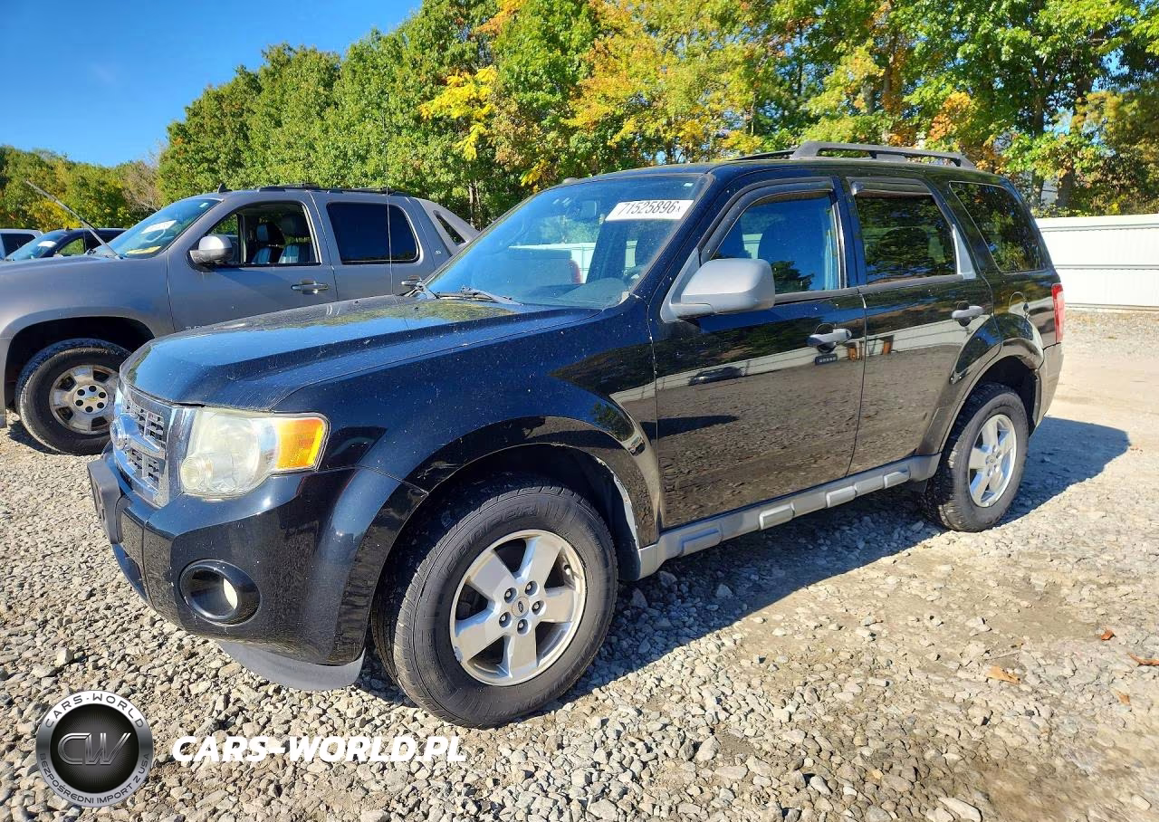 2010 Ford Escape Xlt VIN:1FMCU9DGXAKC24939 - 1