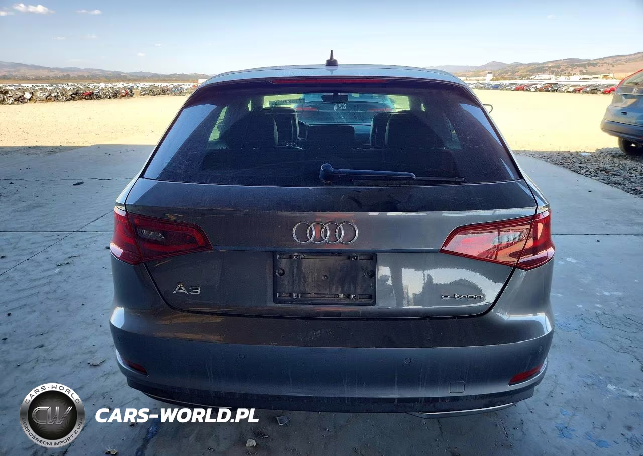 2016 Audi A3 E-Tron Premium VIN:WAUUPBFFXGA158691 - 6