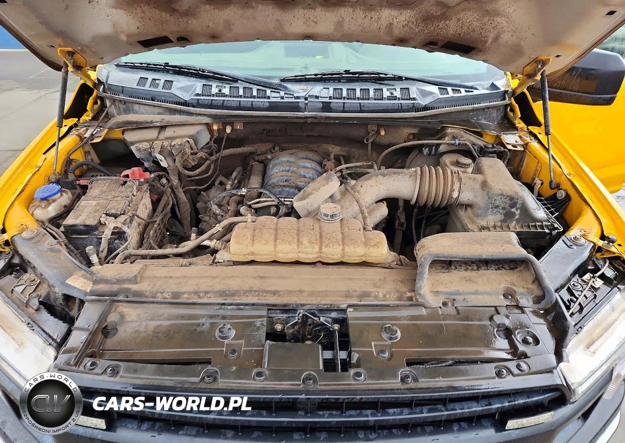 2020 Ford F150 Supercrew VIN:1FTEW1E51LKD46226 - 11