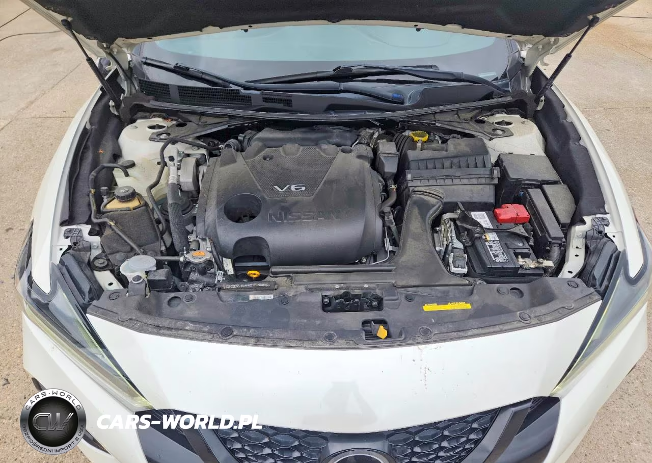 2023 Nissan Maxima VIN:1N4AA6EV4PC507975 - 11