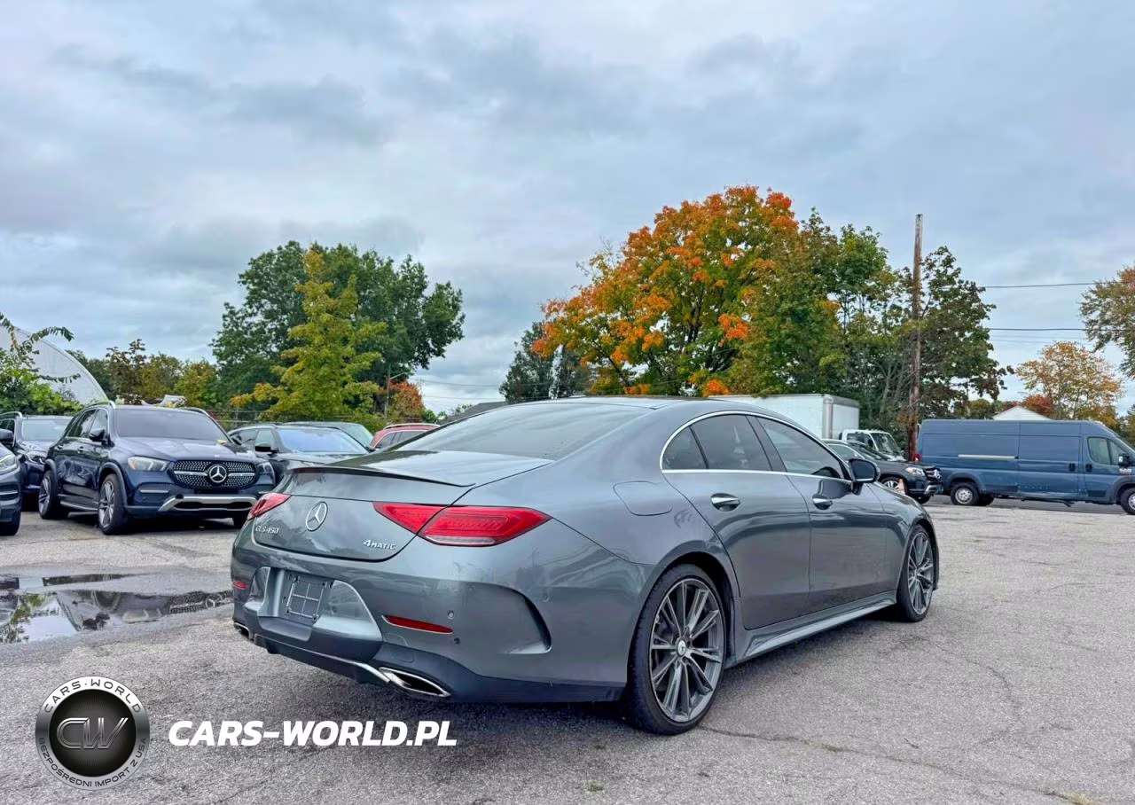 2019 Mercedes-Benz Cls 450 4Matic VIN:WDD2J5KB5KA028896 - 4