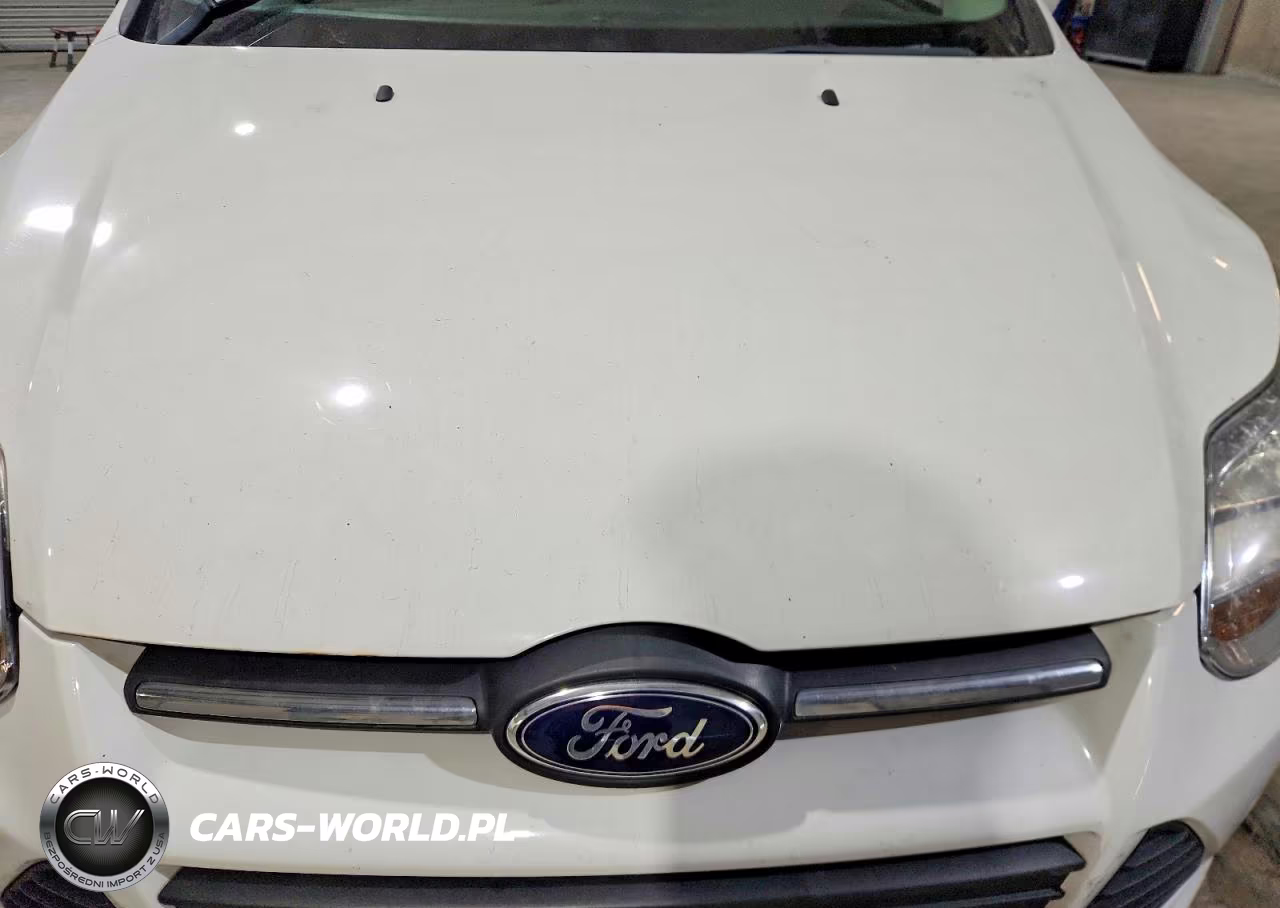 2013 Ford Focus Se VIN:1FADP3F24DL329950 - 11