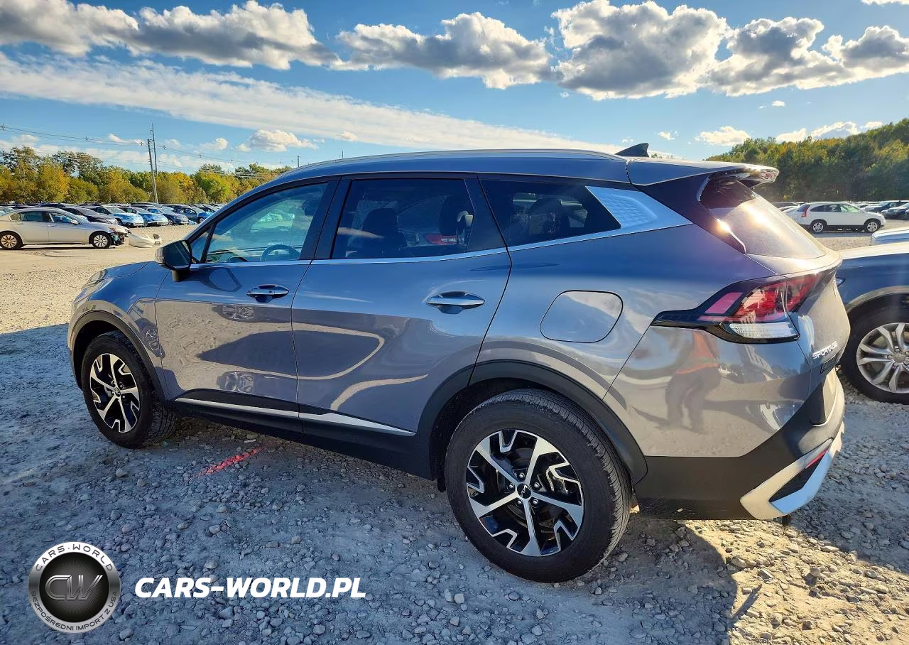 2024 Kia Sportage Ex VIN:5XYK3CDF0RG202814 - 2