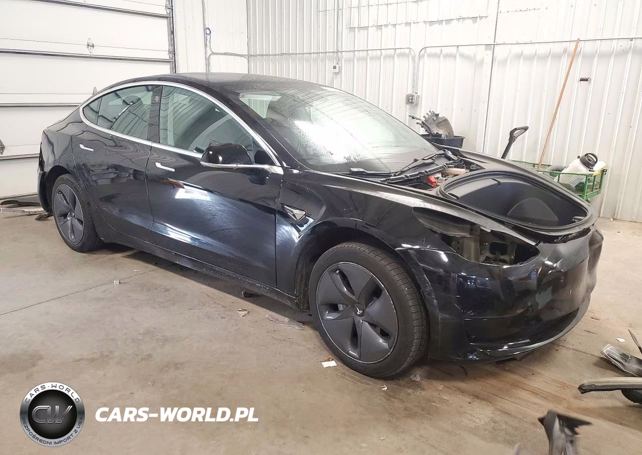 2020 Tesla Model 3 VIN:5YJ3E1EA0LF606409 - 4