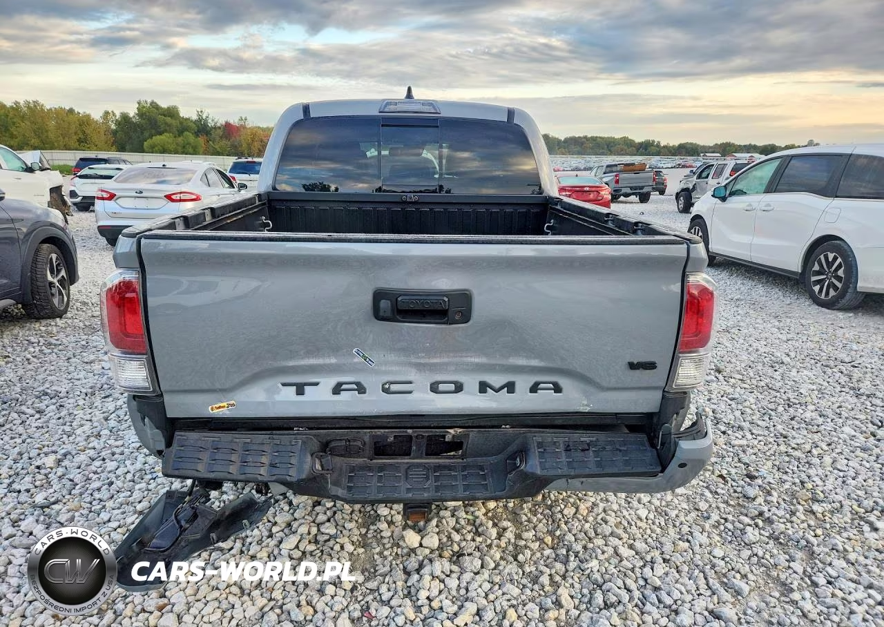 2020 Toyota Tacoma Trd Sport VIN:3TMCZ5AN7LM326695 - 6