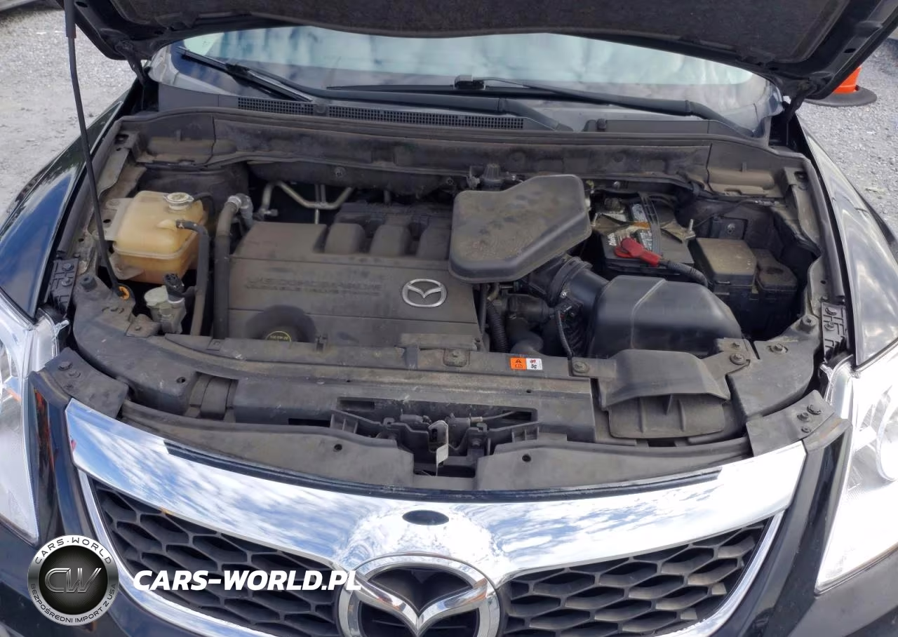 2010 Mazda Cx-9 VIN:JM3TB2MA7A0232366 - 12