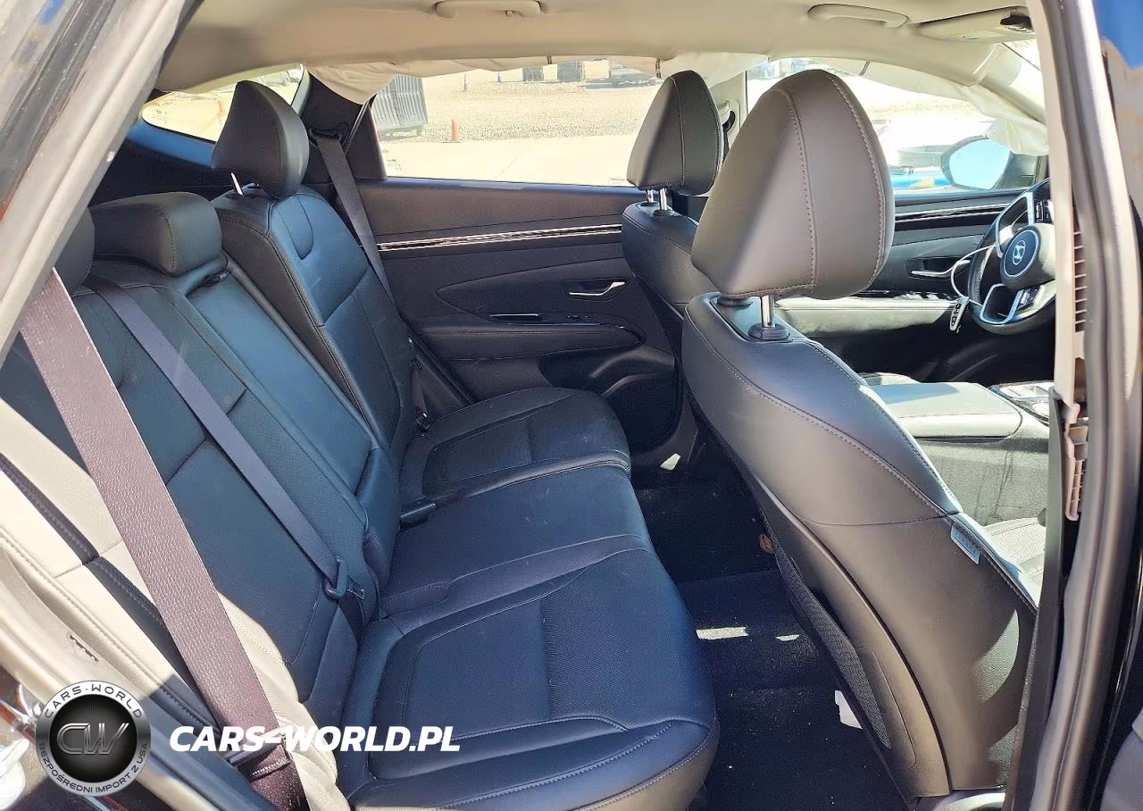 2023 Hyundai Tucson Limited VIN:5NMJECAE0PH219049 - 10