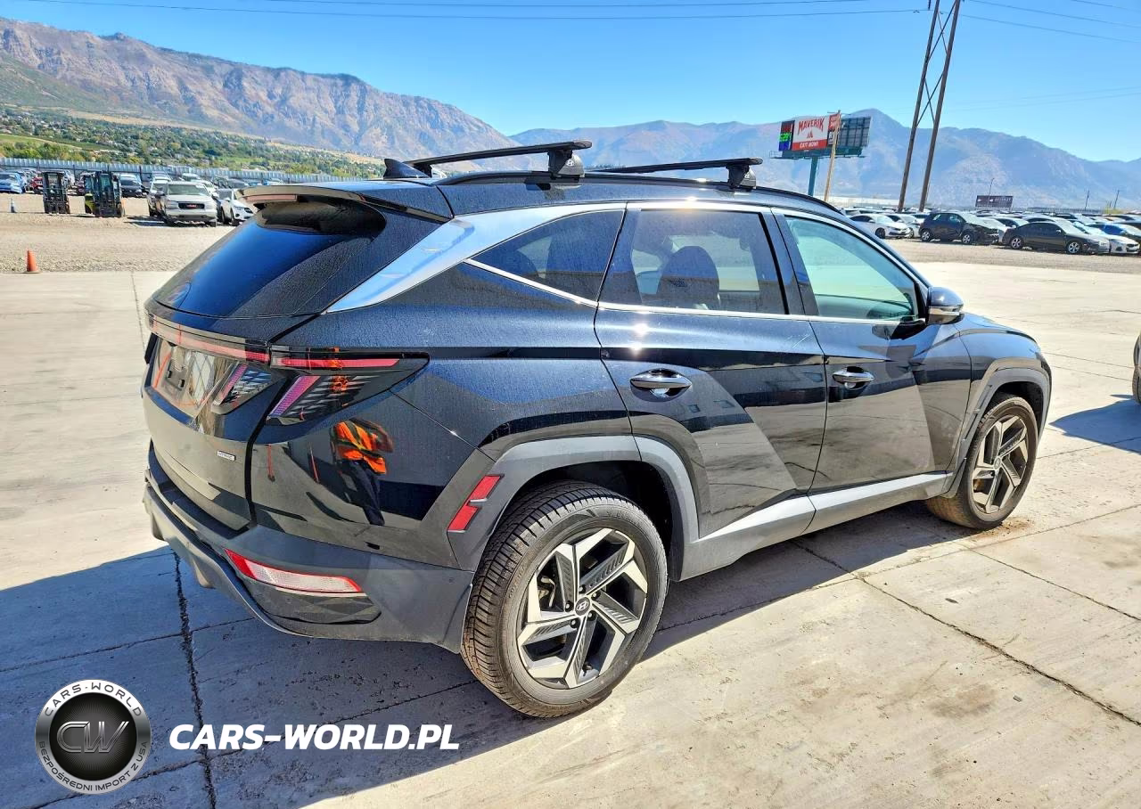 2023 Hyundai Tucson Limited VIN:5NMJECAE0PH219049 - 3