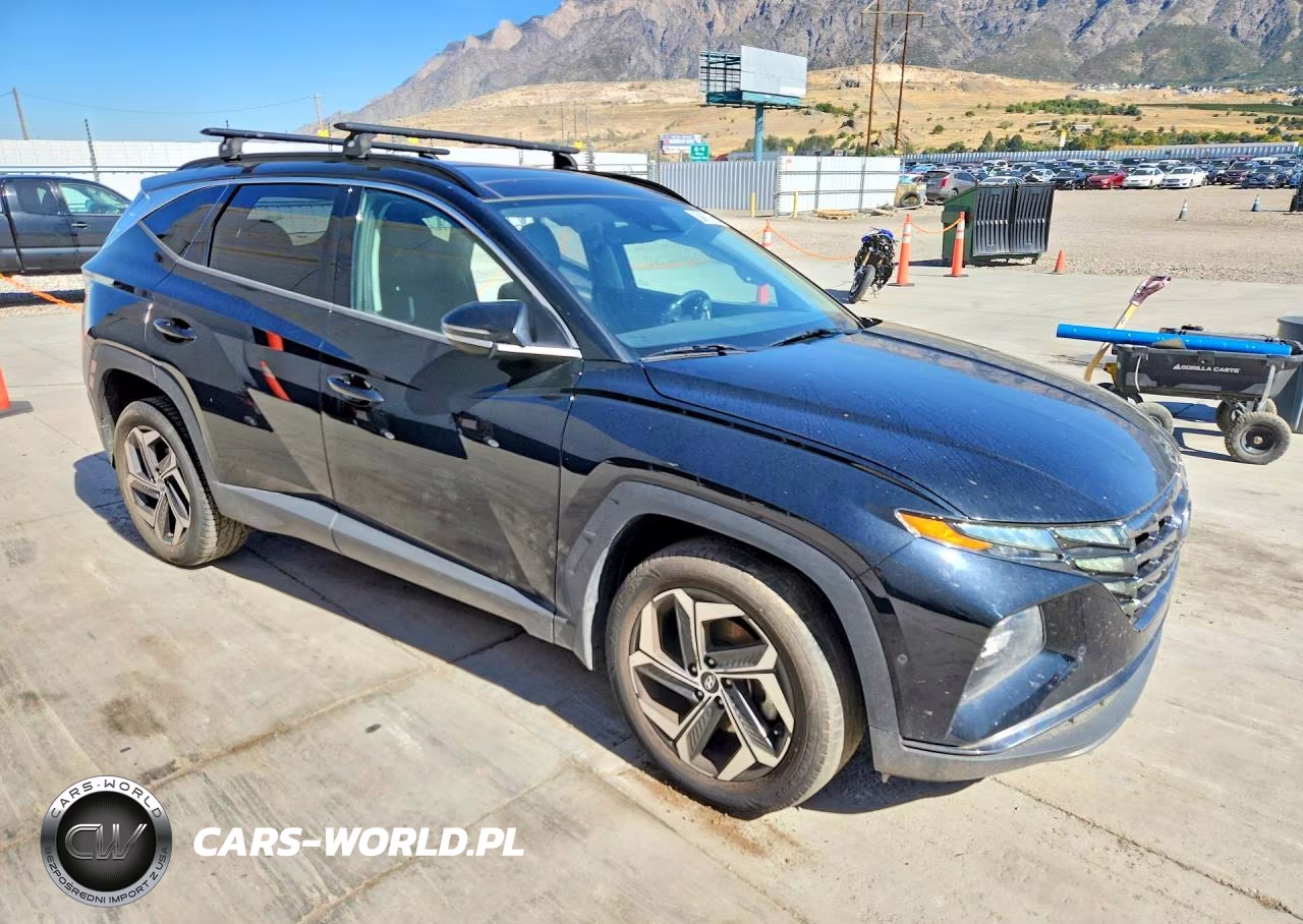 2023 Hyundai Tucson Limited VIN:5NMJECAE0PH219049 - 4