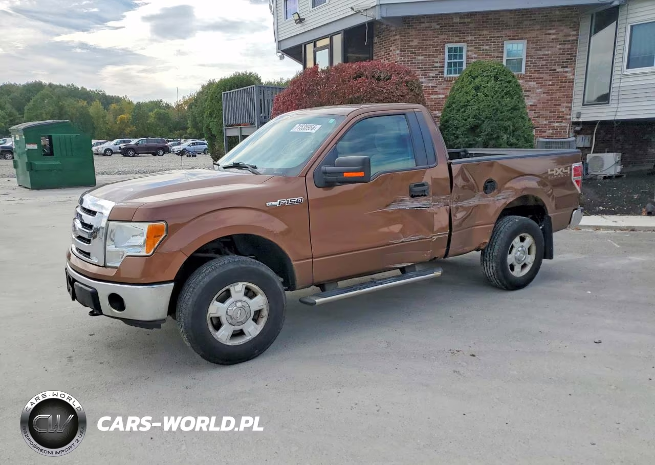 2011 Ford F150 Xlt VIN:1FTMF1EF1BFB13331 - 1