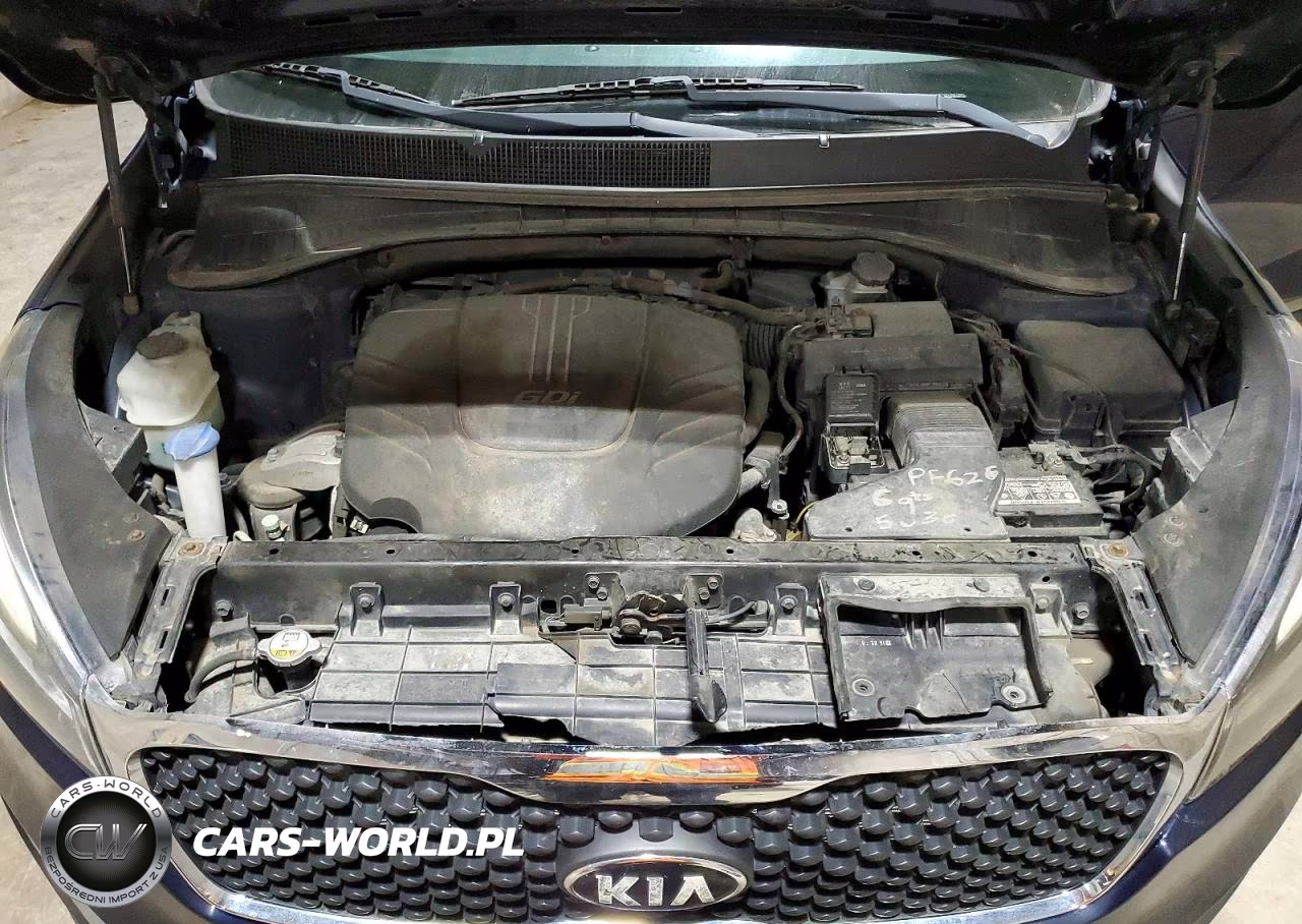 2017 Kia Sorento Lx V6 VIN:5XYPGDA57HG319543 - 12