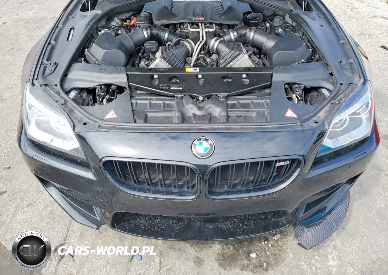2014 BMW M6 VIN:WBSLX9C5XED160500 - 11