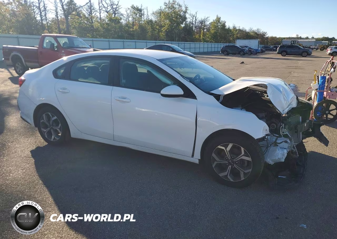 2020 Kia Forte Lxs VIN:3KPF24AD3LE206938 - 4