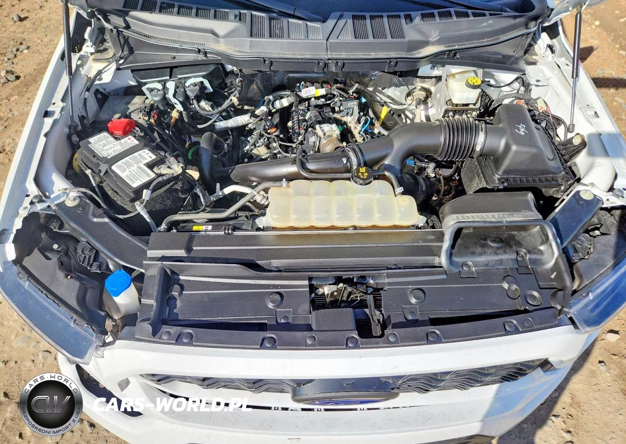 2023 Ford F150 Super Cab VIN:1FTEX1EP6PKE55821 - 11