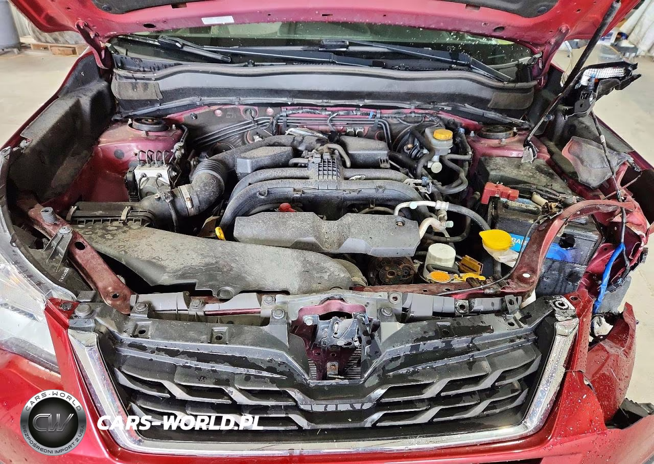 2017 Subaru Forester 2.5I VIN:JF2SJABC3HH488748 - 12