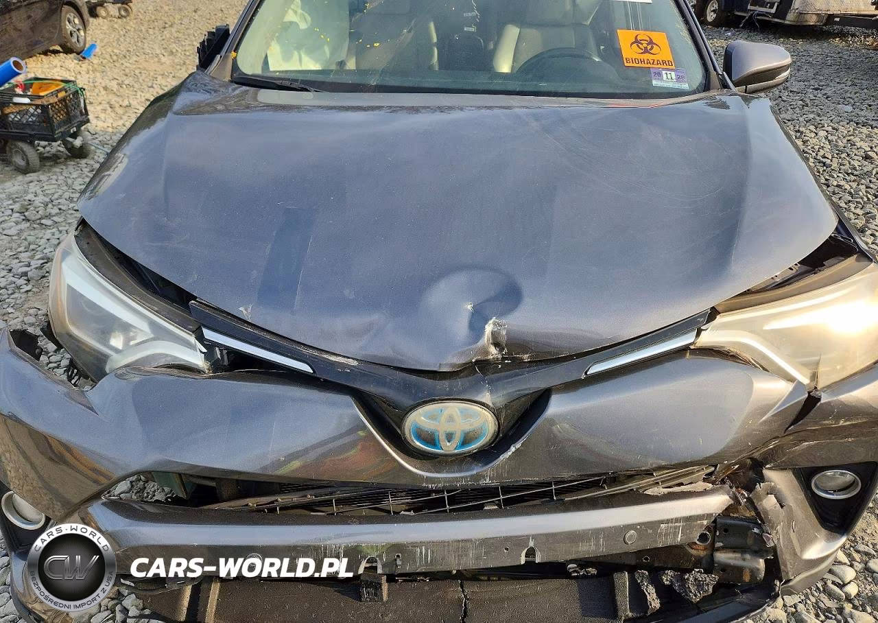 2017 Toyota Rav4 Hv Limited VIN:JTMDJREV8HD144665 - 11