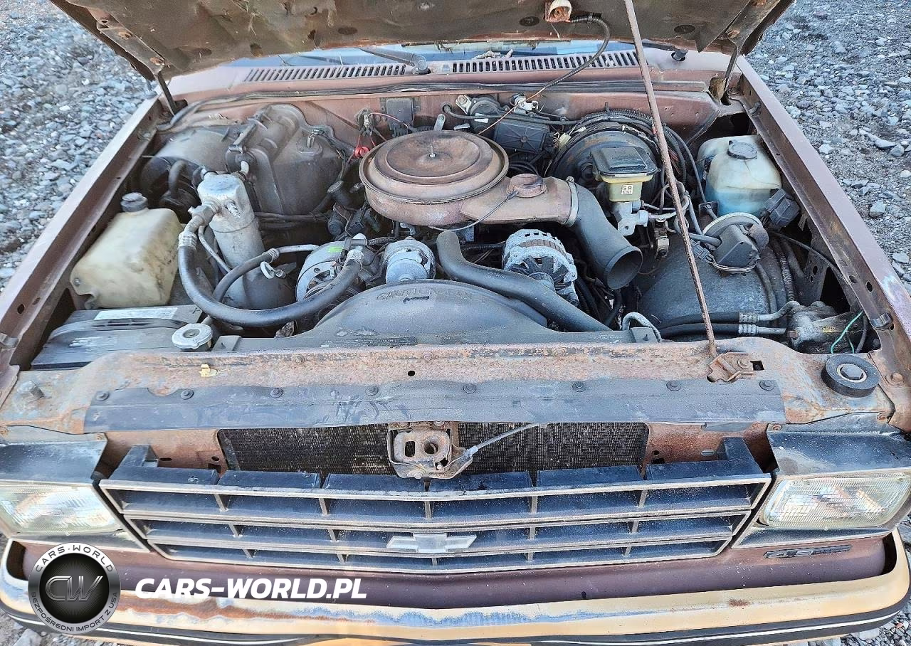 1988 Chevrolet Blazer S10 VIN:1GNCT18Z9J0159654 - 11