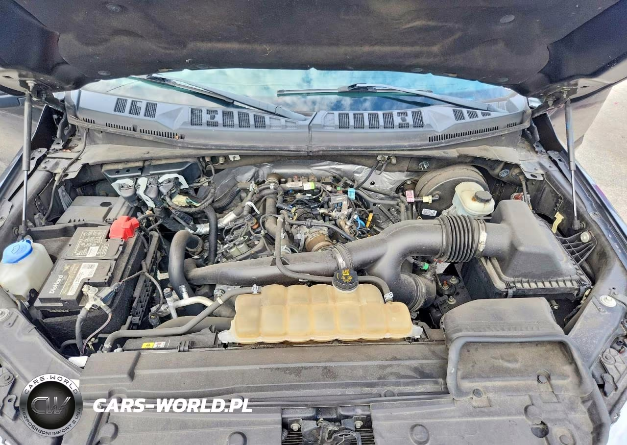 2020 Ford F150 Supercrew VIN:1FTEW1CPXLKF44811 - 11